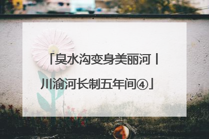 臭水沟变身美丽河丨川渝河长制五年间④