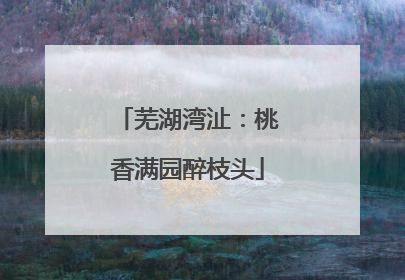 芜湖湾沚：桃香满园醉枝头