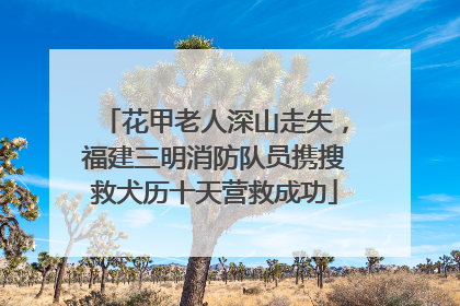 花甲老人深山走失，福建三明消防队员携搜救犬历十天营救成功