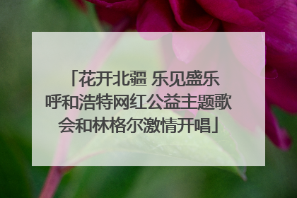 花开北疆 乐见盛乐 呼和浩特网红公益主题歌会和林格尔激情开唱