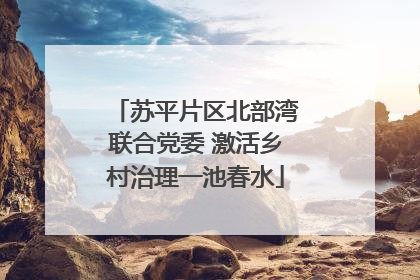 苏平片区北部湾联合党委 激活乡村治理一池春水
