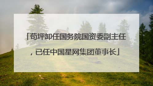 苟坪卸任国务院国资委副主任，已任中国星网集团董事长