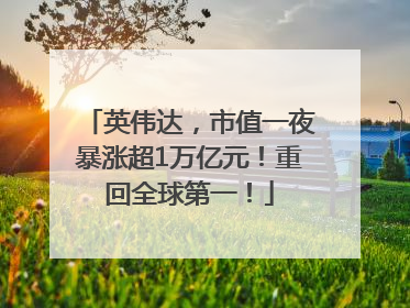 英伟达，市值一夜暴涨超1万亿元！重回全球第一！