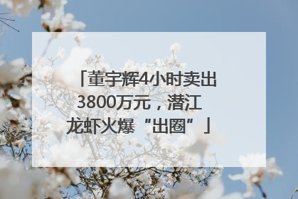 董宇辉4小时卖出3800万元，潜江龙虾火爆“出圈”