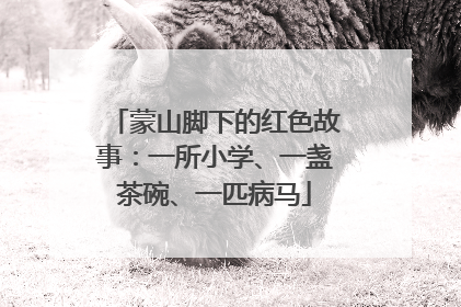 蒙山脚下的红色故事：一所小学、一盏茶碗、一匹病马