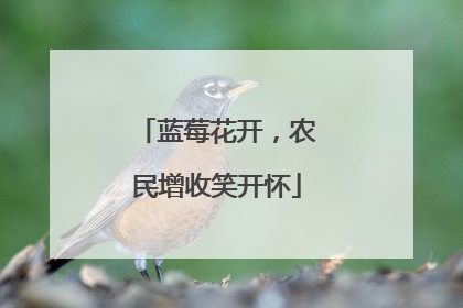 蓝莓花开，农民增收笑开怀