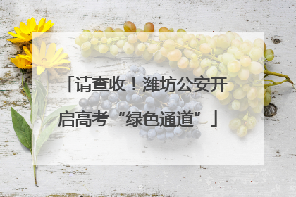 请查收！潍坊公安开启高考“绿色通道”