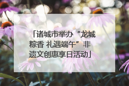 诸城市举办“龙城粽香 礼遇端午”非遗文创惠享日活动
