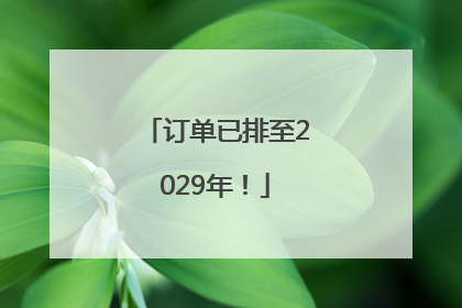 订单已排至2029年！