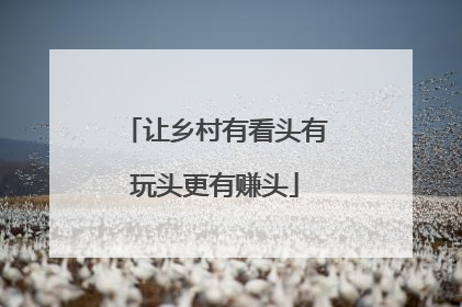 让乡村有看头有玩头更有赚头