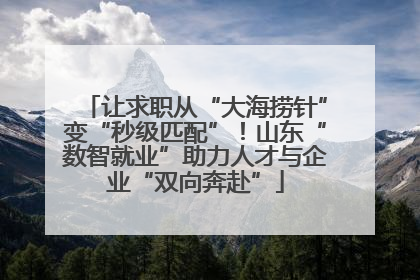 让求职从“大海捞针”变“秒级匹配”！山东“数智就业”助力人才与企业“双向奔赴”