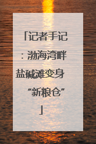 记者手记：渤海湾畔盐碱滩变身“新粮仓”