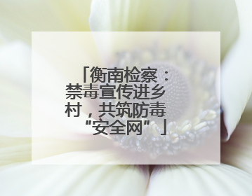 衡南检察：禁毒宣传进乡村，共筑防毒“安全网”