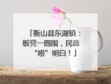 衡山县东湖镇：板凳一圈围，民意“唠”明白！