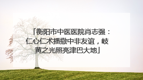衡阳市中医医院肖志强：仁心仁术播撒中非友谊，岐黄之光照亮津巴大地