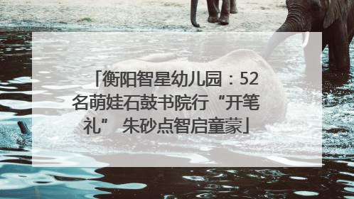 衡阳智星幼儿园：52名萌娃石鼓书院行“开笔礼” 朱砂点智启童蒙