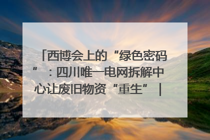西博会上的“绿色密码”：四川唯一电网拆解中心让废旧物资“重生”｜西博寻“新”记
