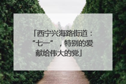 西宁兴海路街道：“七一”，特别的爱献给伟大的党