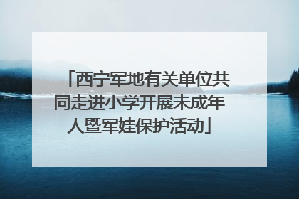 西宁军地有关单位共同走进小学开展未成年人暨军娃保护活动