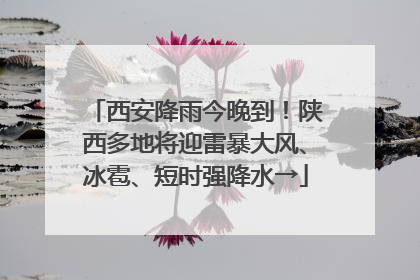 西安降雨今晚到！陕西多地将迎雷暴大风、冰雹、短时强降水→