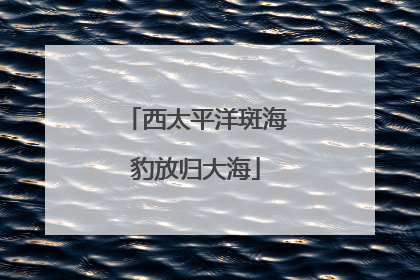 西太平洋斑海豹放归大海