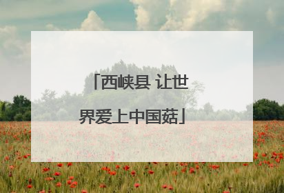 西峡县 让世界爱上中国菇
