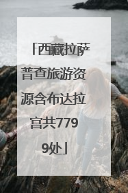 西藏拉萨普查旅游资源含布达拉宫共7799处