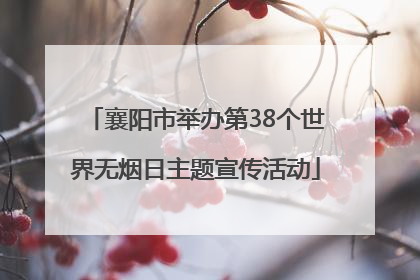 襄阳市举办第38个世界无烟日主题宣传活动