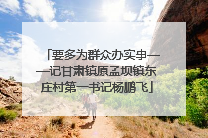 要多为群众办实事——记甘肃镇原孟坝镇东庄村第一书记杨鹏飞