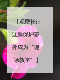 观摩长江江豚保护意外成为“现场教学”