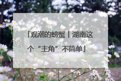观潮的螃蟹丨湖南这个“主角”不简单