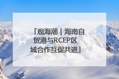 观海潮｜海南自贸港与RCEP区域合作互促共进