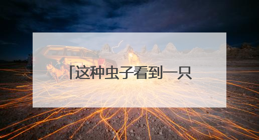 这种虫子看到一只，家里很可能已有一万只（不是蟑螂）