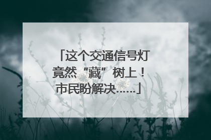 这个交通信号灯竟然“藏”树上！市民盼解决……