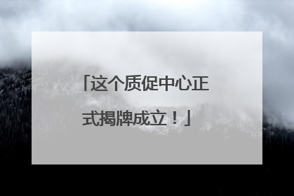 这个质促中心正式揭牌成立！