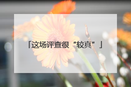 这场评查很“较真”