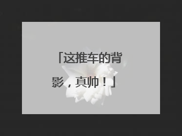 这推车的背影，真帅！