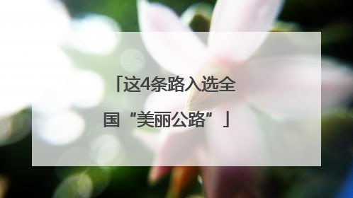 这4条路入选全国“美丽公路”