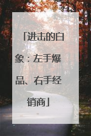 进击的白象：左手爆品、右手经销商