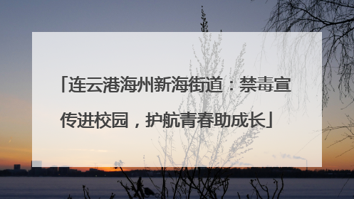 连云港海州新海街道：禁毒宣传进校园，护航青春助成长