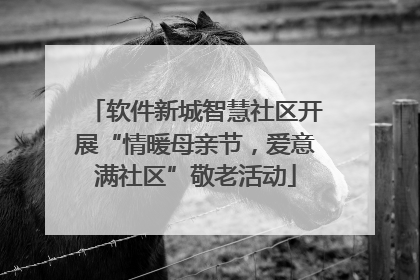 软件新城智慧社区开展“情暖母亲节，爱意满社区”敬老活动