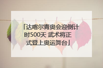 达喀尔青奥会迎倒计时500天 武术将正式登上奥运舞台