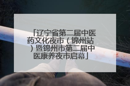 辽宁省第二届中医药文化夜市（锦州站）暨锦州市第二届中医康养夜市启幕