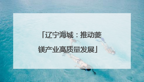 辽宁海城：推动菱镁产业高质量发展