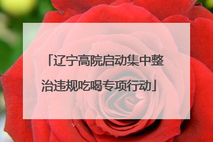 辽宁高院启动集中整治违规吃喝专项行动