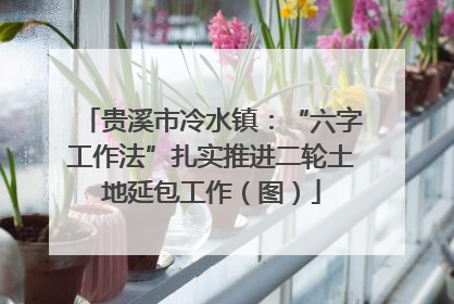 贵溪市冷水镇：“六字工作法”扎实推进二轮土地延包工作（图）