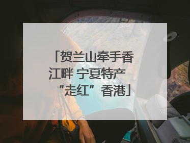贺兰山牵手香江畔 宁夏特产“走红”香港
