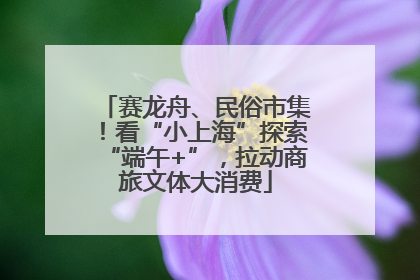 赛龙舟、民俗市集！看“小上海”探索“端午+”，拉动商旅文体大消费