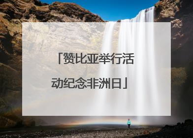 赞比亚举行活动纪念非洲日