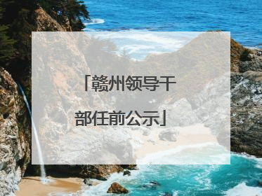 赣州领导干部任前公示
